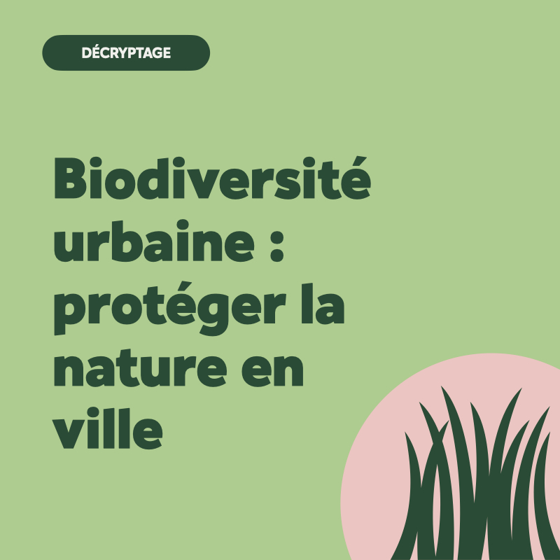Biodiversité ville