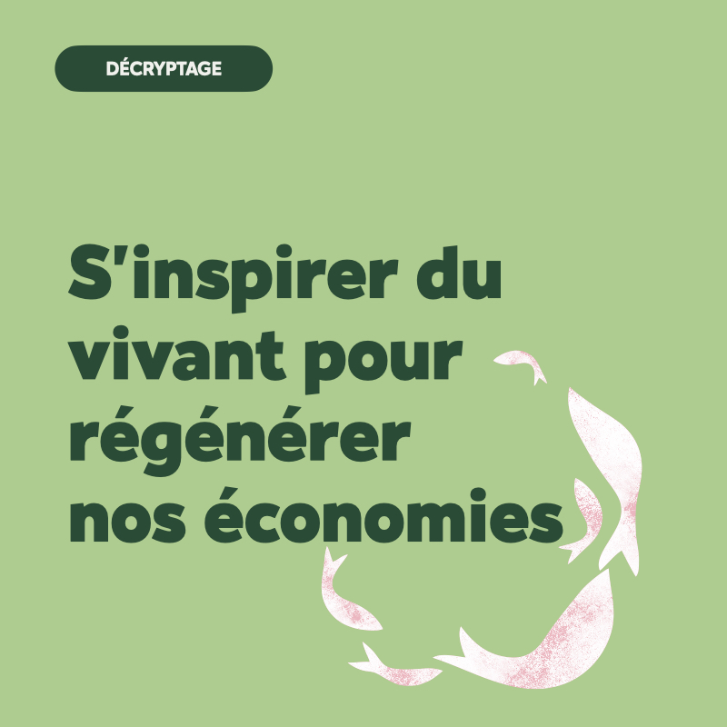 économie symbiotique