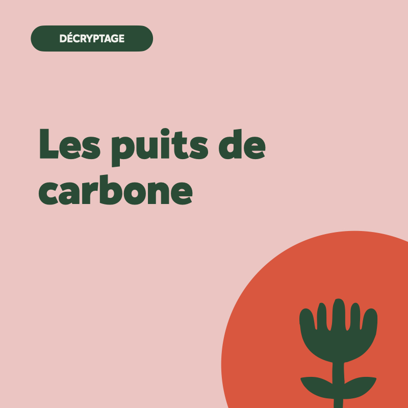 puits de carbone