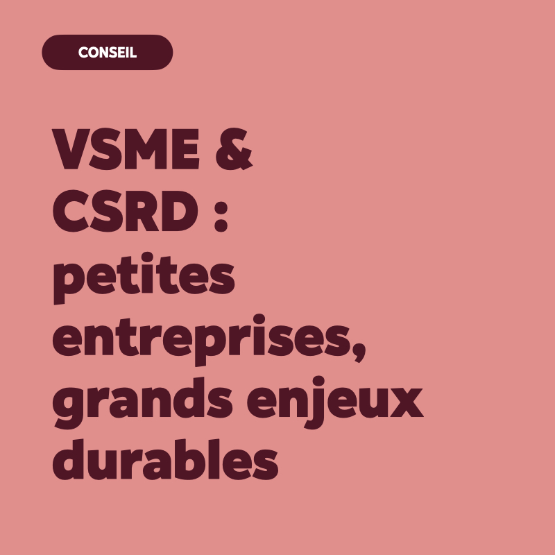 VSME CSRD