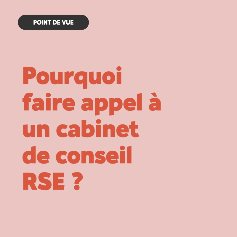 CABINET DE CONSEIL RSE