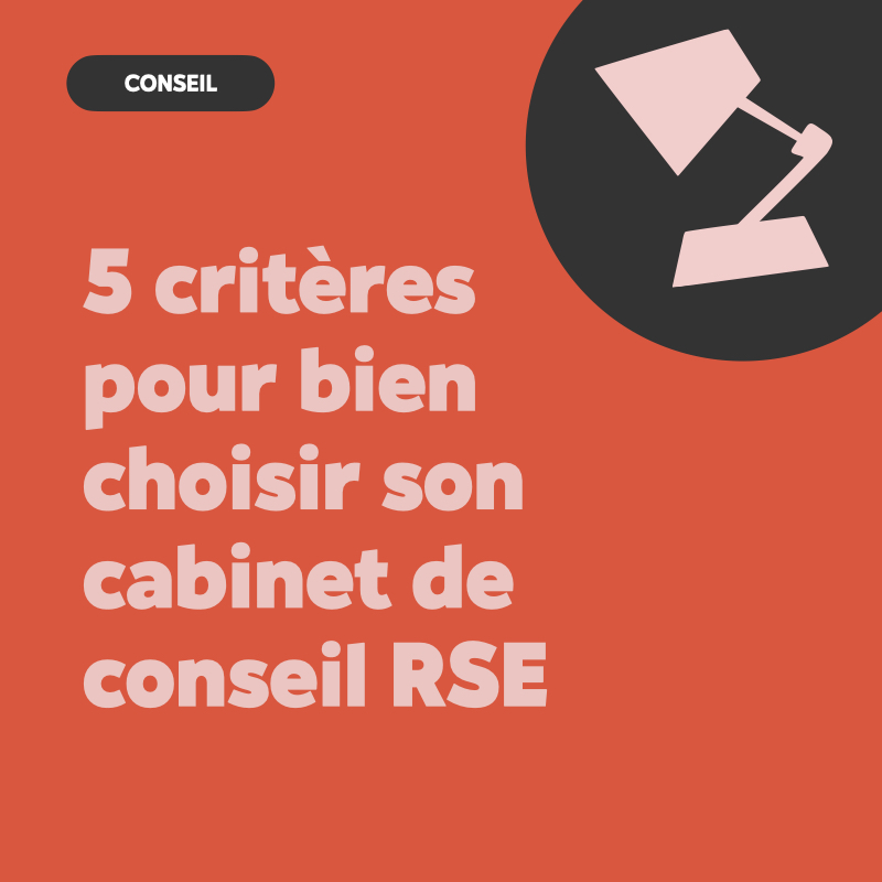 conseil rse