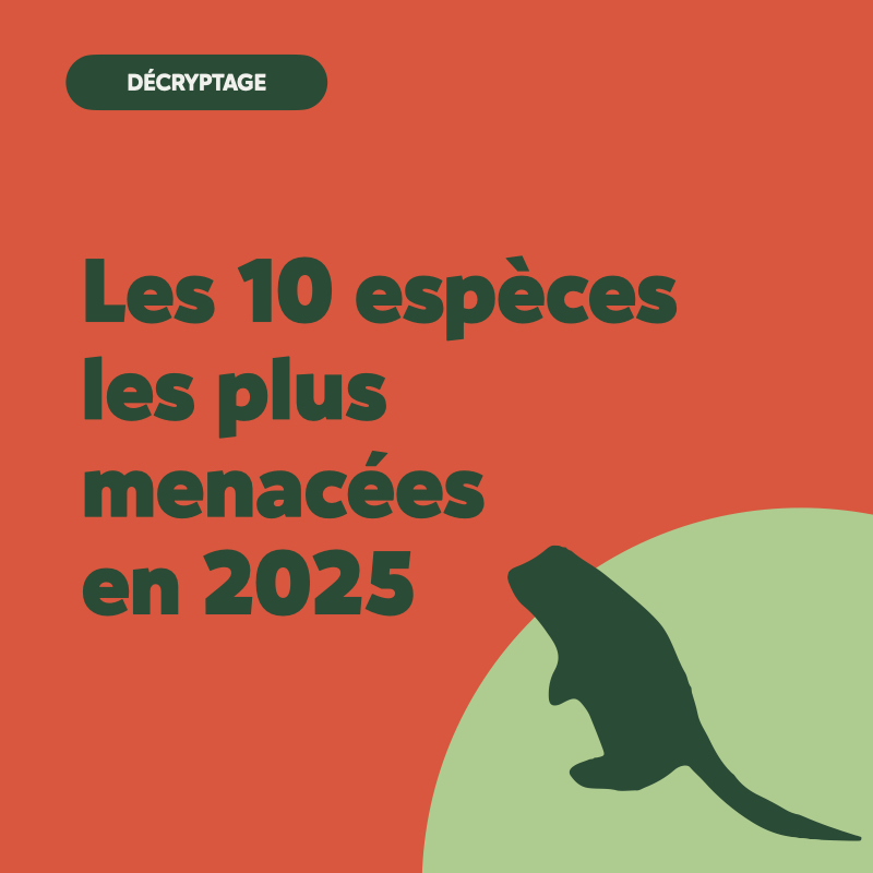espèces menacées