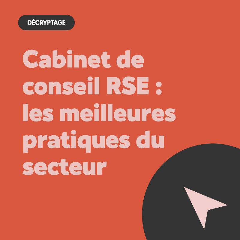 cabinet RSE meilleures pratiques
